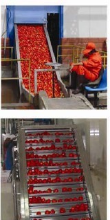 exquisite show take an example of Tomato Paste Production Line real photos,let customers understanding of our products more intuitive!